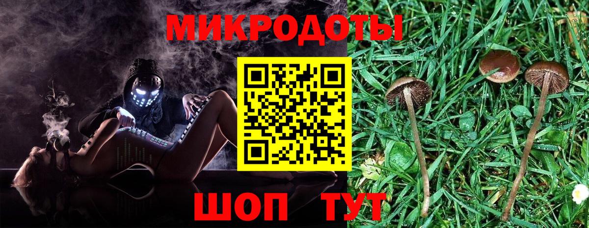 Псилоцибиновые грибы Psilocybe Карталы